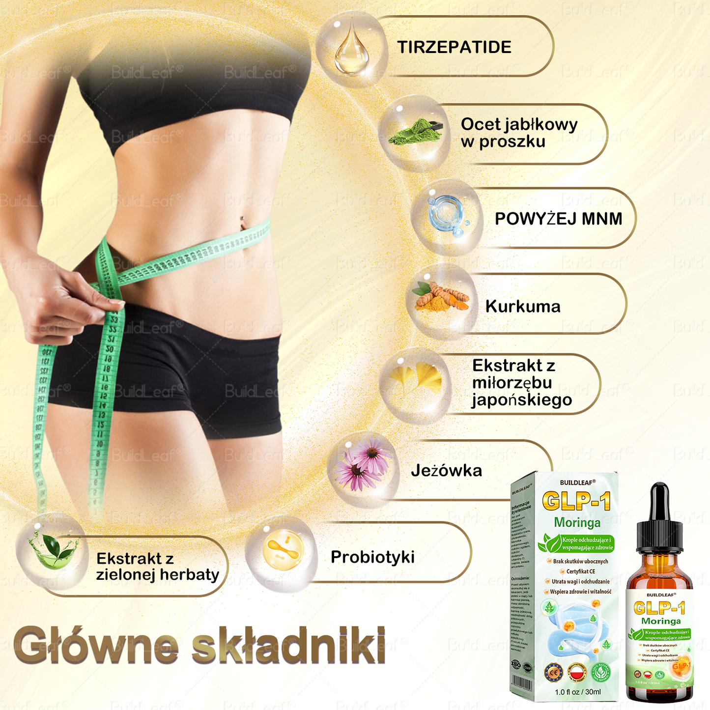 💥BuildLeaf® 🎁🎁 Ostatnia szansa! Zdobądź to szczęśliwe znalezisko 🎉50% TANIEJ!